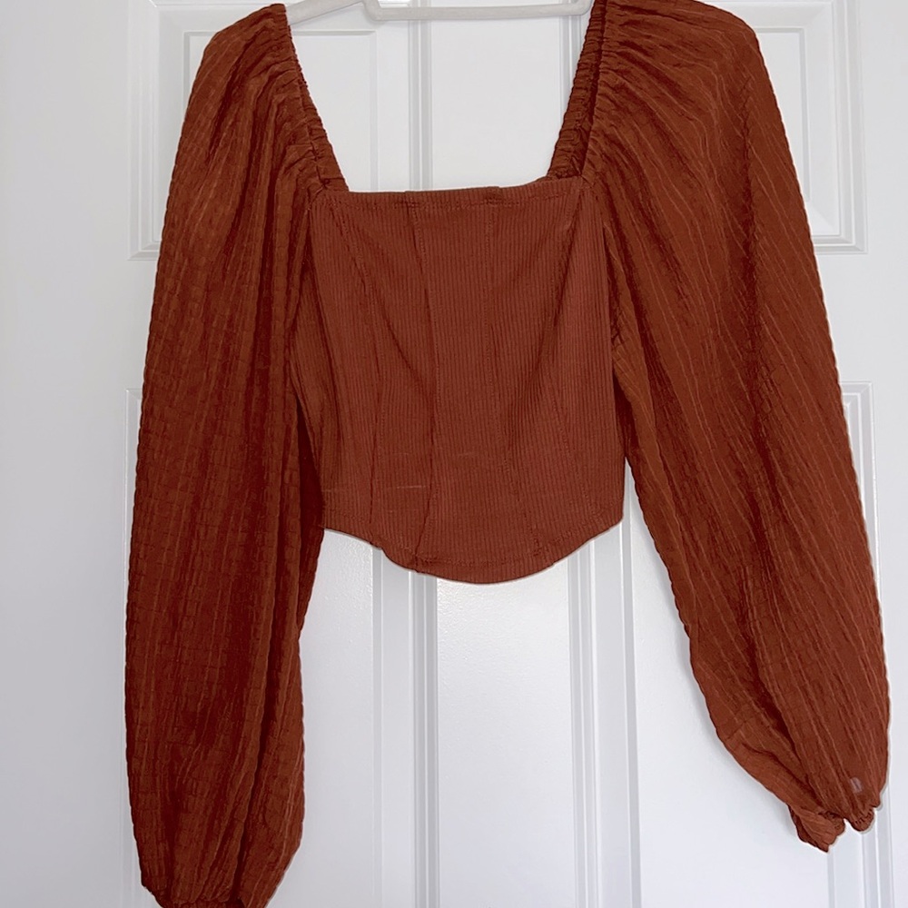 Urban Outfitters rust color crop top,long dressy sleeves, soft ribbed cotton top